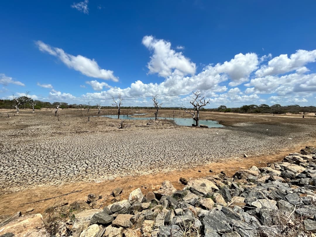 Water Scarcity, Floods and Fire: Building Ventures for a More Volatile Climate